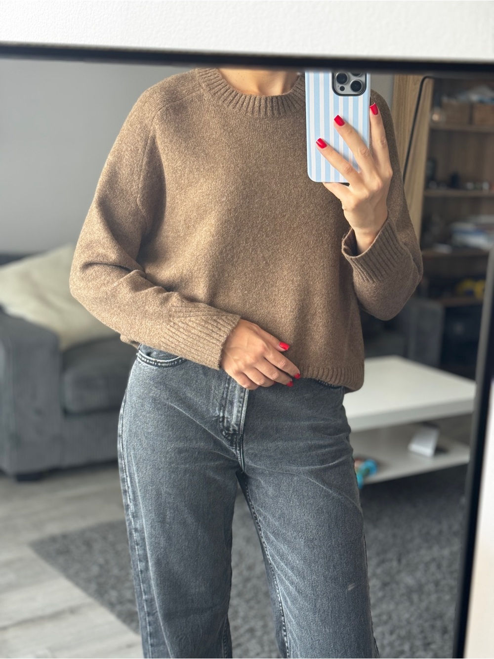 Zara Crewneck Sweater in Warm Brown